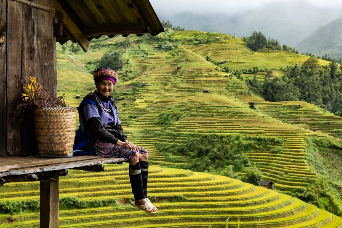 Scenic view of Northern Vietnam in autumn with golden rice fields
